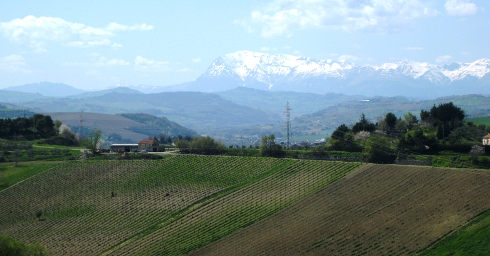 Territorio agricolo - miglioramento fondiario