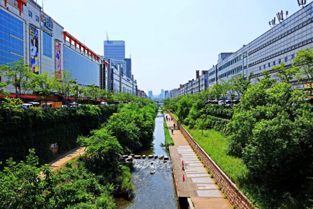 progettazione aree verdi - foto di un viale cittadino con fiume alberato